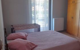 Tzounos Apartment